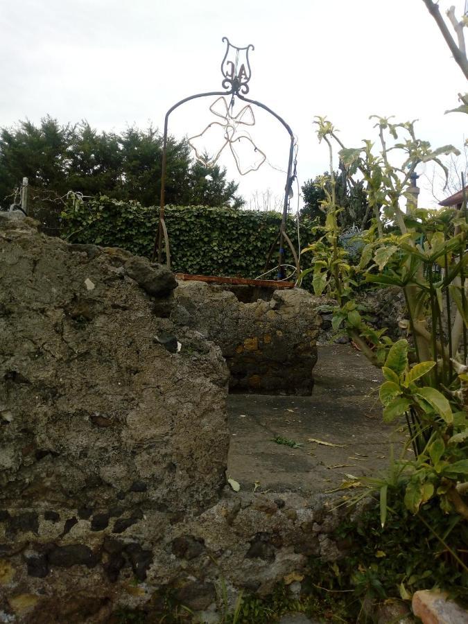 Casa Vacanze Da Rosy Ercolano Buitenkant foto